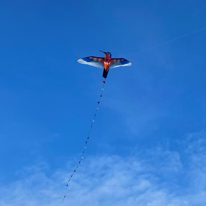Cerf-volant Colibri - Icare - Monofil 2/3