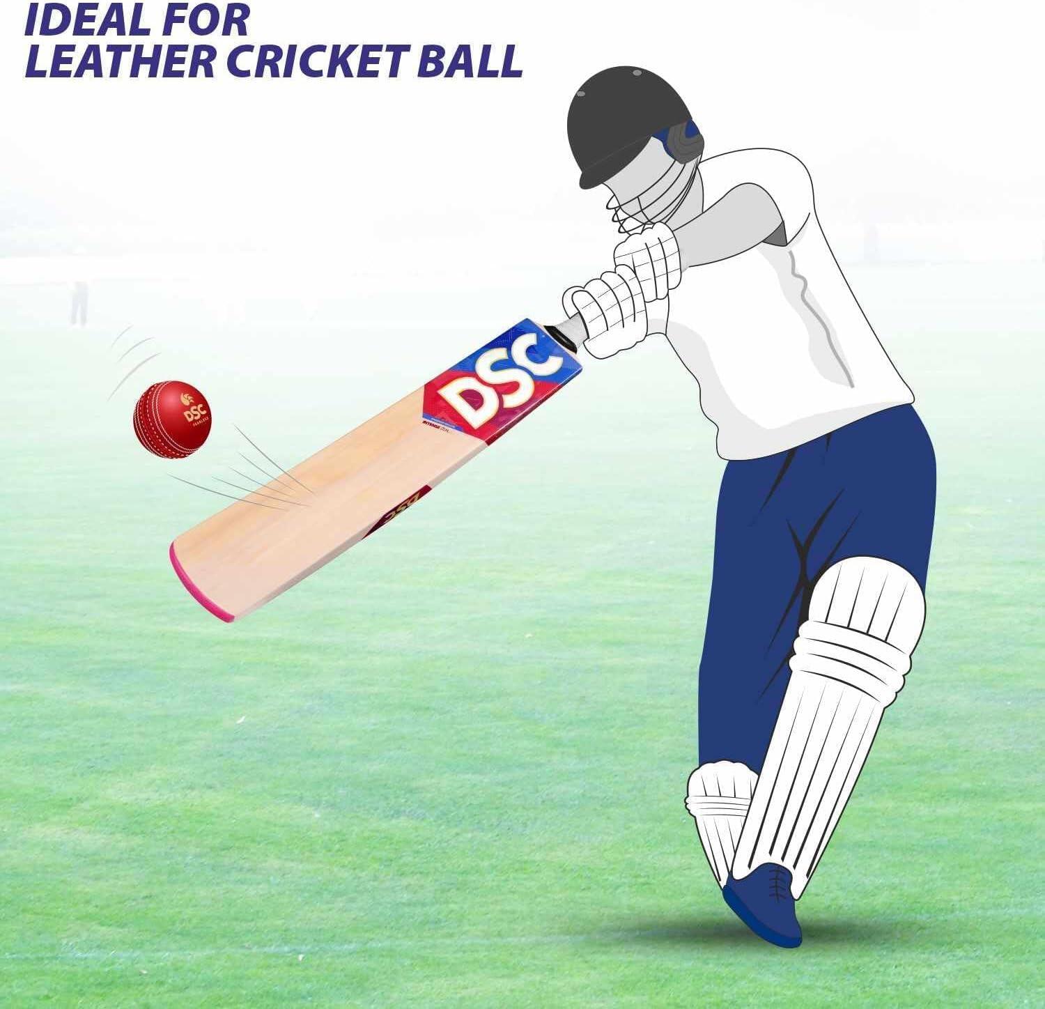 DSC Intense Zeal Cricket Bat Cricketschläger für Herren und Jungen 5/5