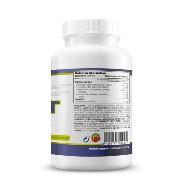 Post & race - 60 vegetable capsules de Masmusculo Supplements 3/6