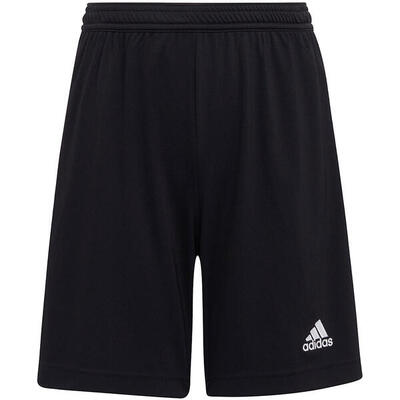 Kinder Fußball Shorts - Entrada 22, grau