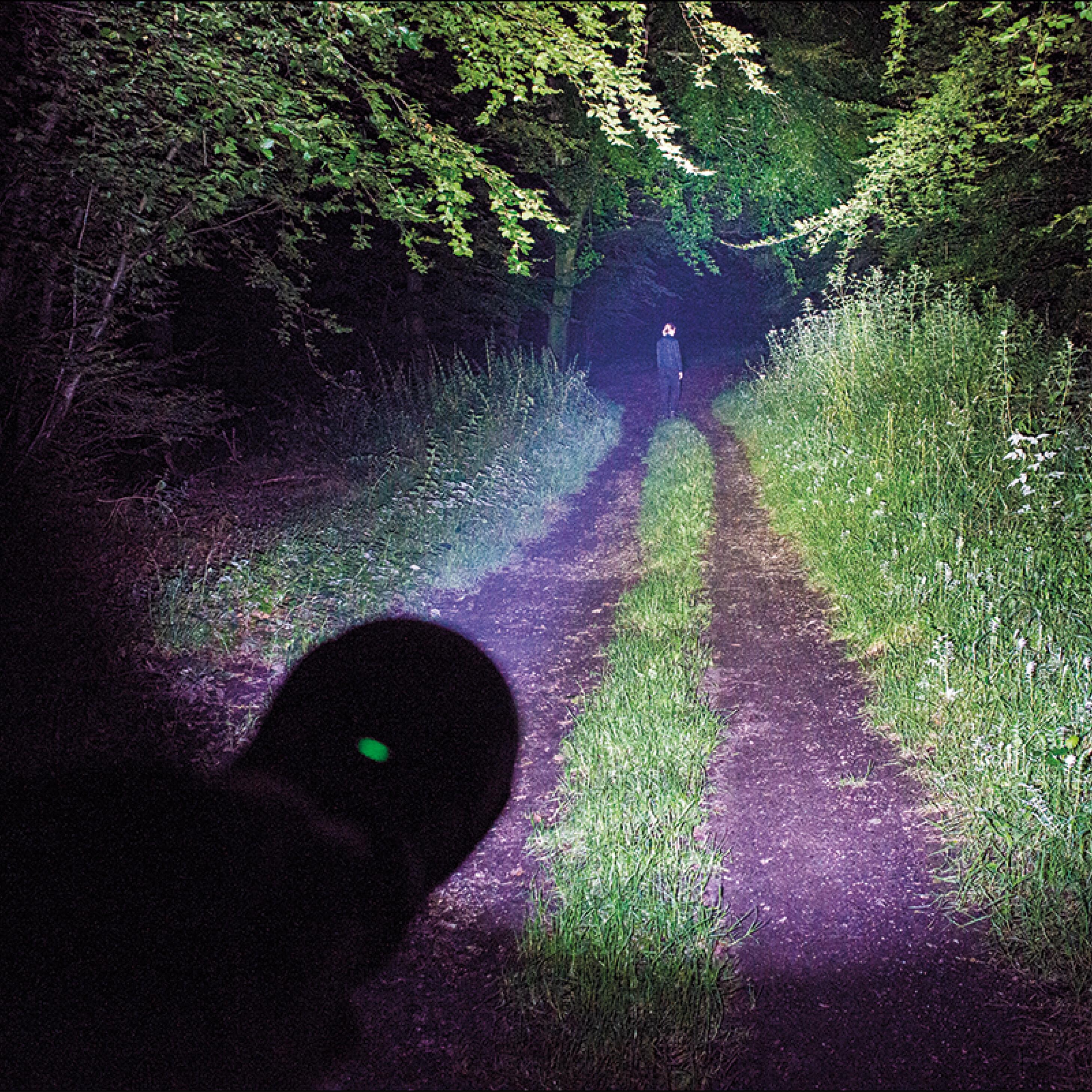Magnum 3000 High-Performance, Heavy-Duty, Rechargeable LED Expedition Torch 5/5