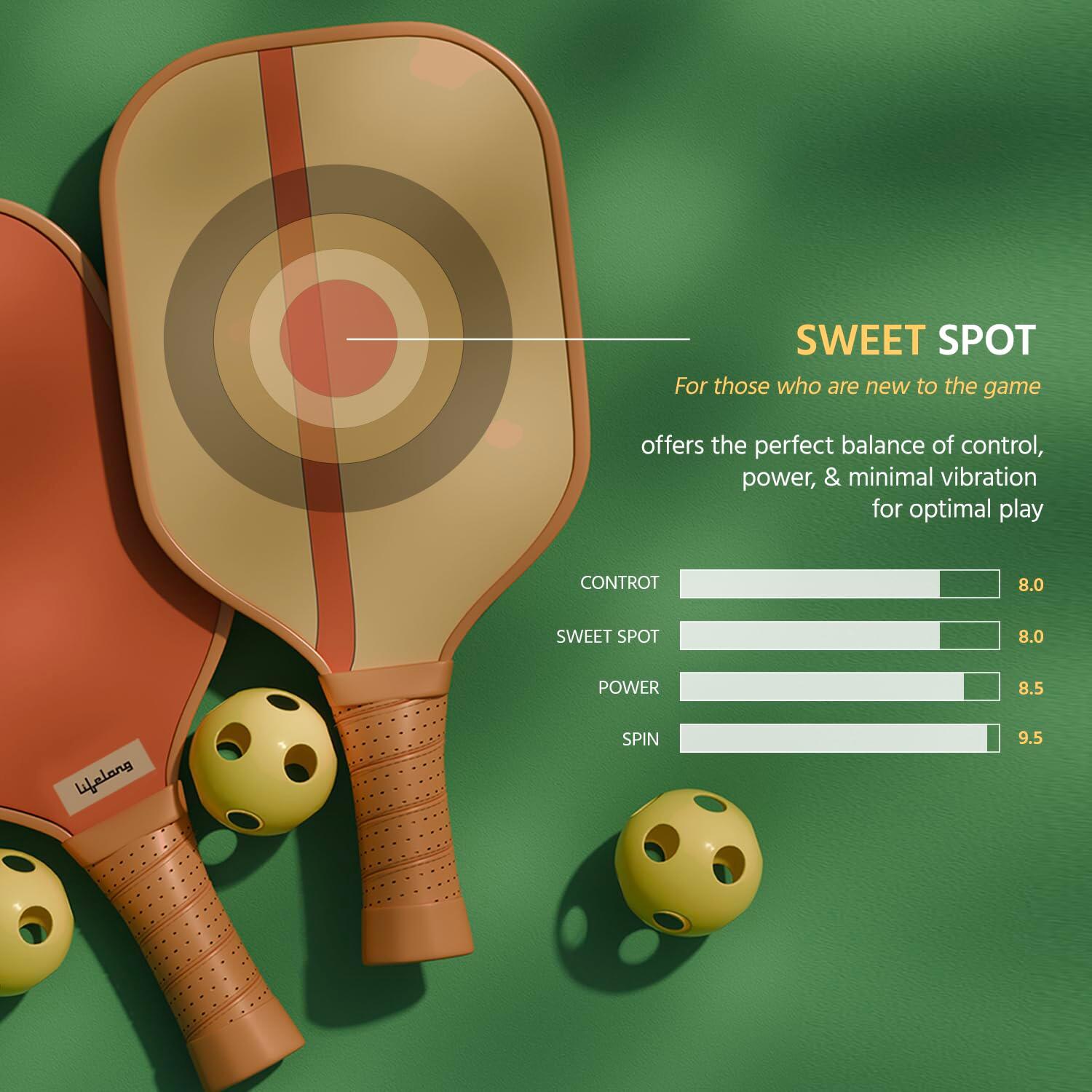 Lifelong Pickleball Paddle Set - Fiberglass Surface, 4 Pickleball Balls & Paddle Cover Bag