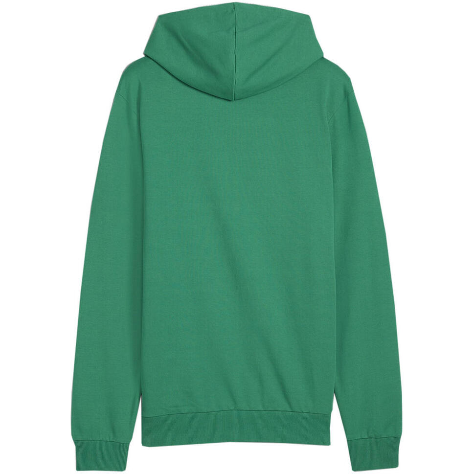 Bluza męska Puma Team Goal Casuals Hoody