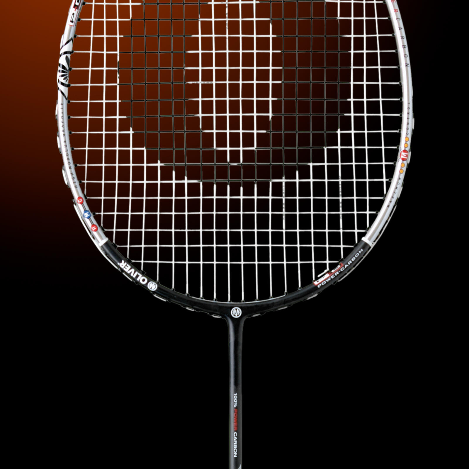 Raqueta de bádminton OLIVER - FLEXTER PC negro/plata 4/6