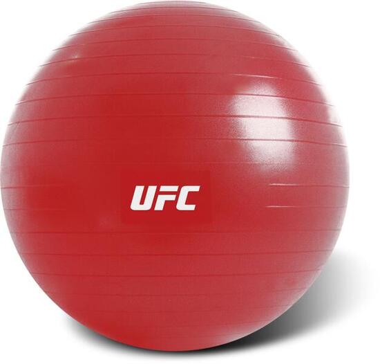 UFC Gymnastikball – 65 cm (Swiss Ball Training)
