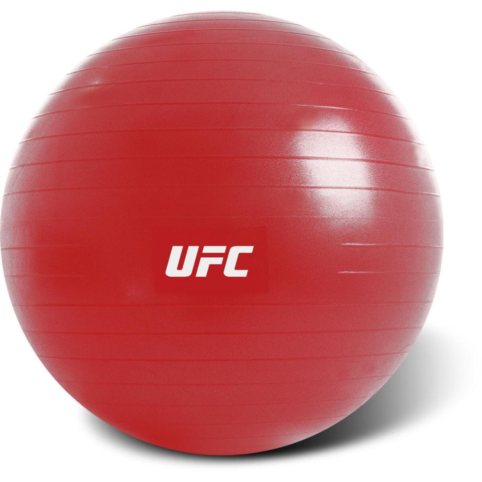 UFC Fitball - 65cm