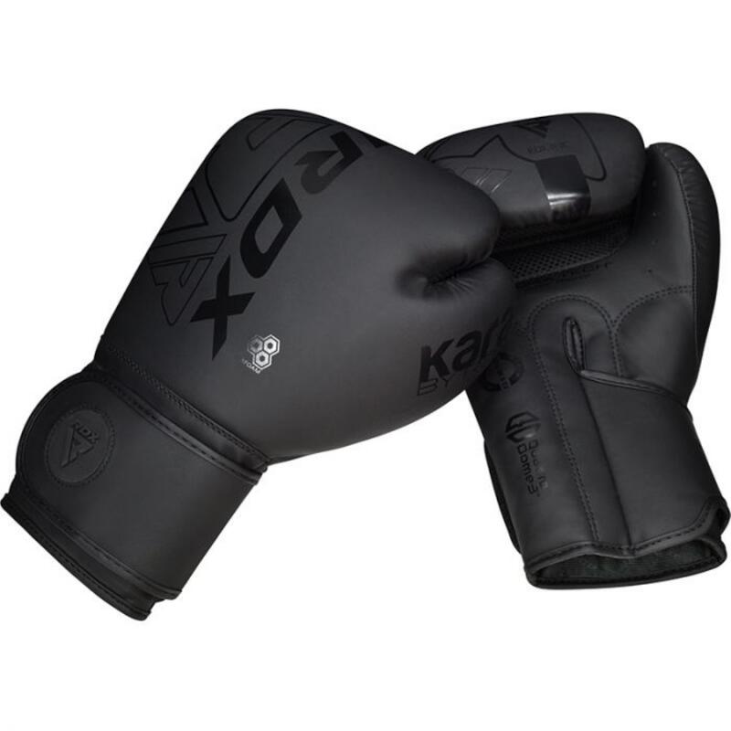 Boxhandschuhe Rex F6