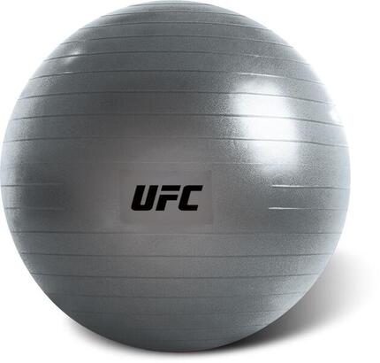 UFC Gymnastikball – 65 cm (Swiss Ball Training)