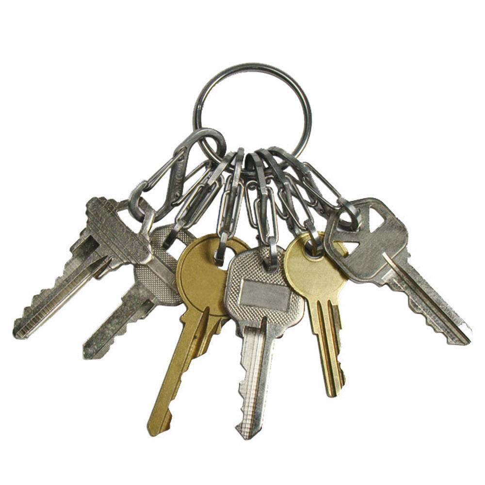 Healifty Lot De 60 Fermoirs Mousquetons En D Pour Sac à Main