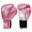 Boxhandschuhe Initiation