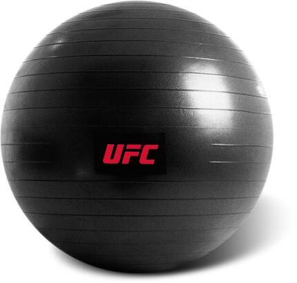 UFC Gymnastikball – 65 cm (Swiss Ball Training)