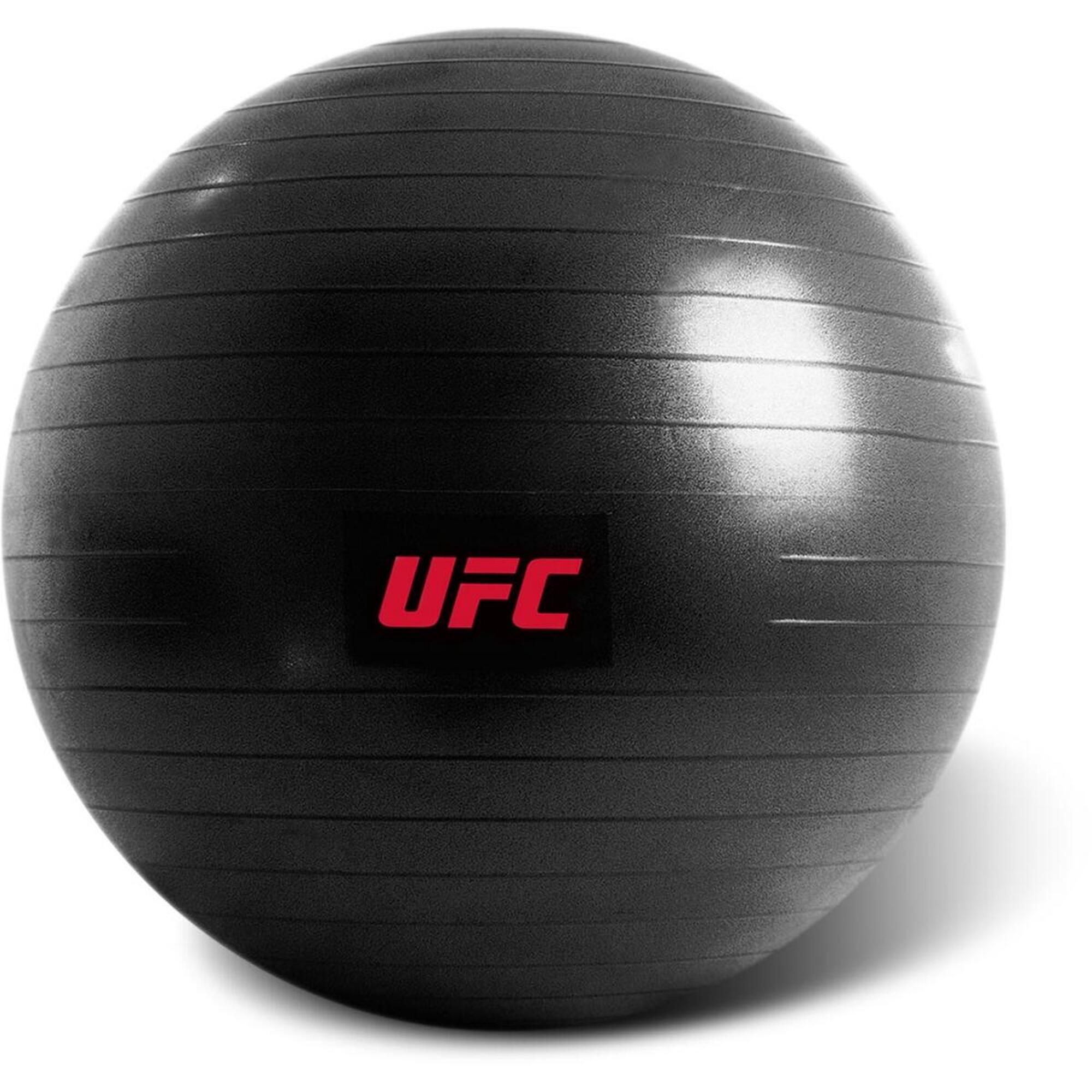 UFC Fitball - 75 cm