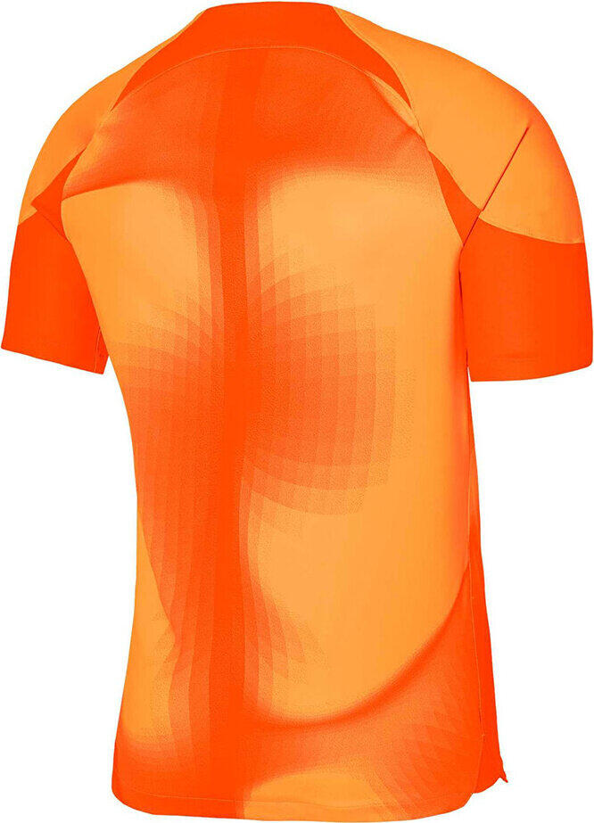 Koszulka sportowa męska Nike Dri-FIT Adv Gardien IV GK