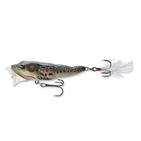 LIVE TARGET picture