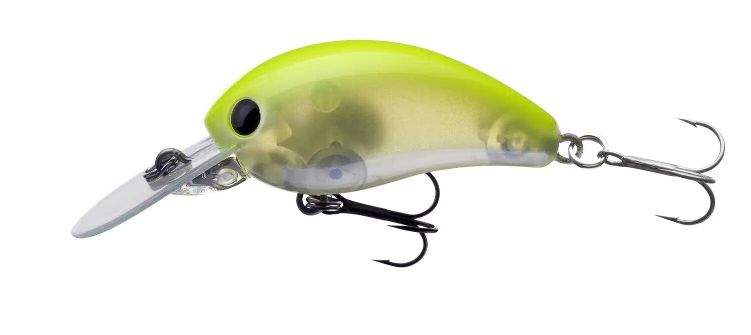 DAIWA picture