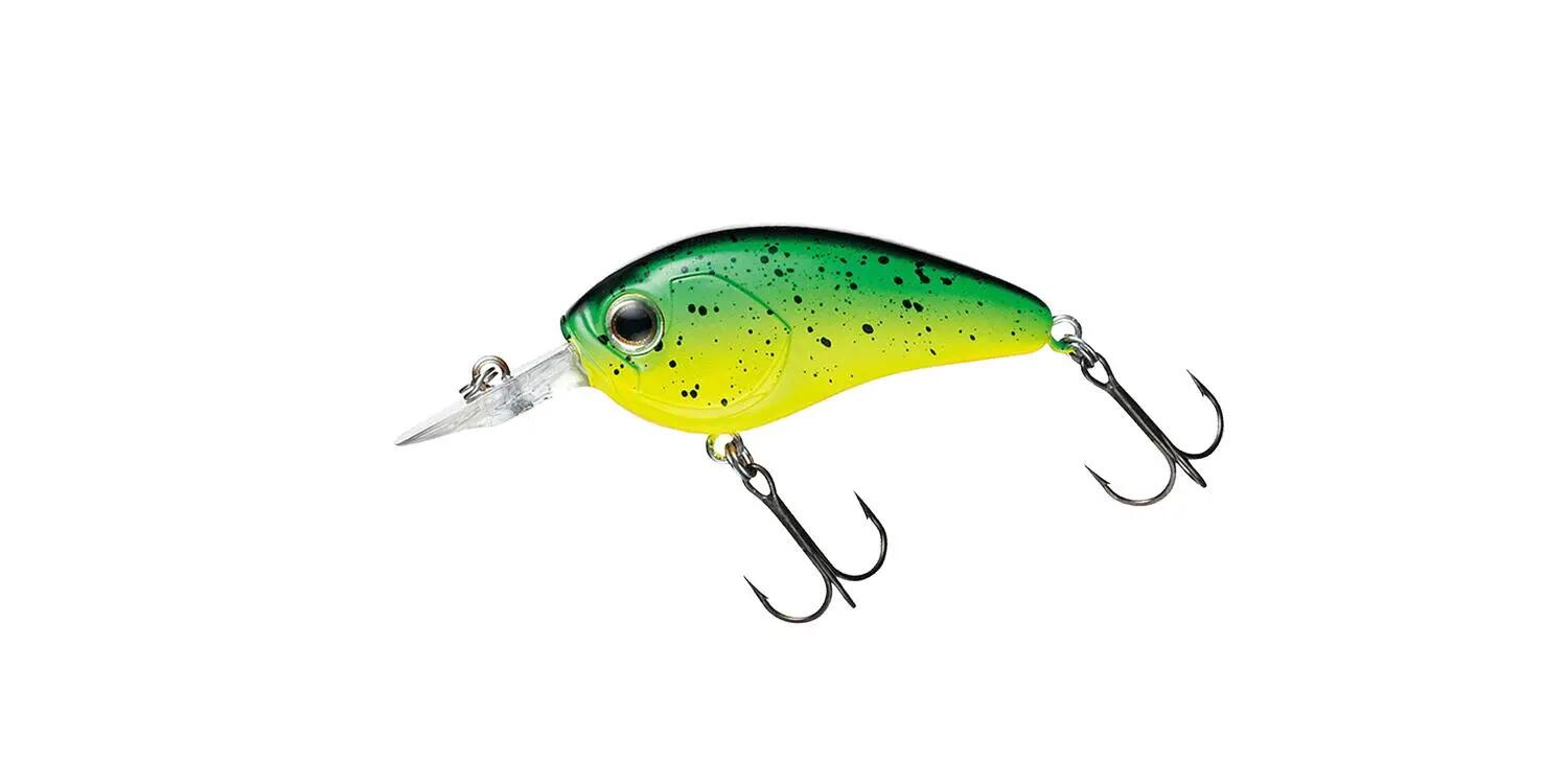 DAIWA picture