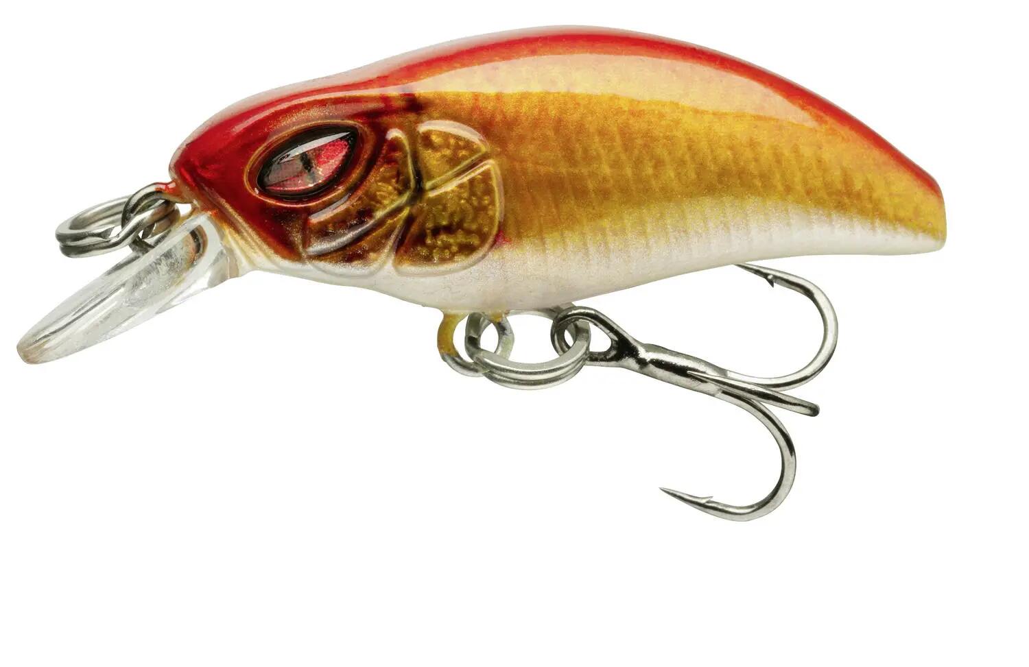DAIWA picture