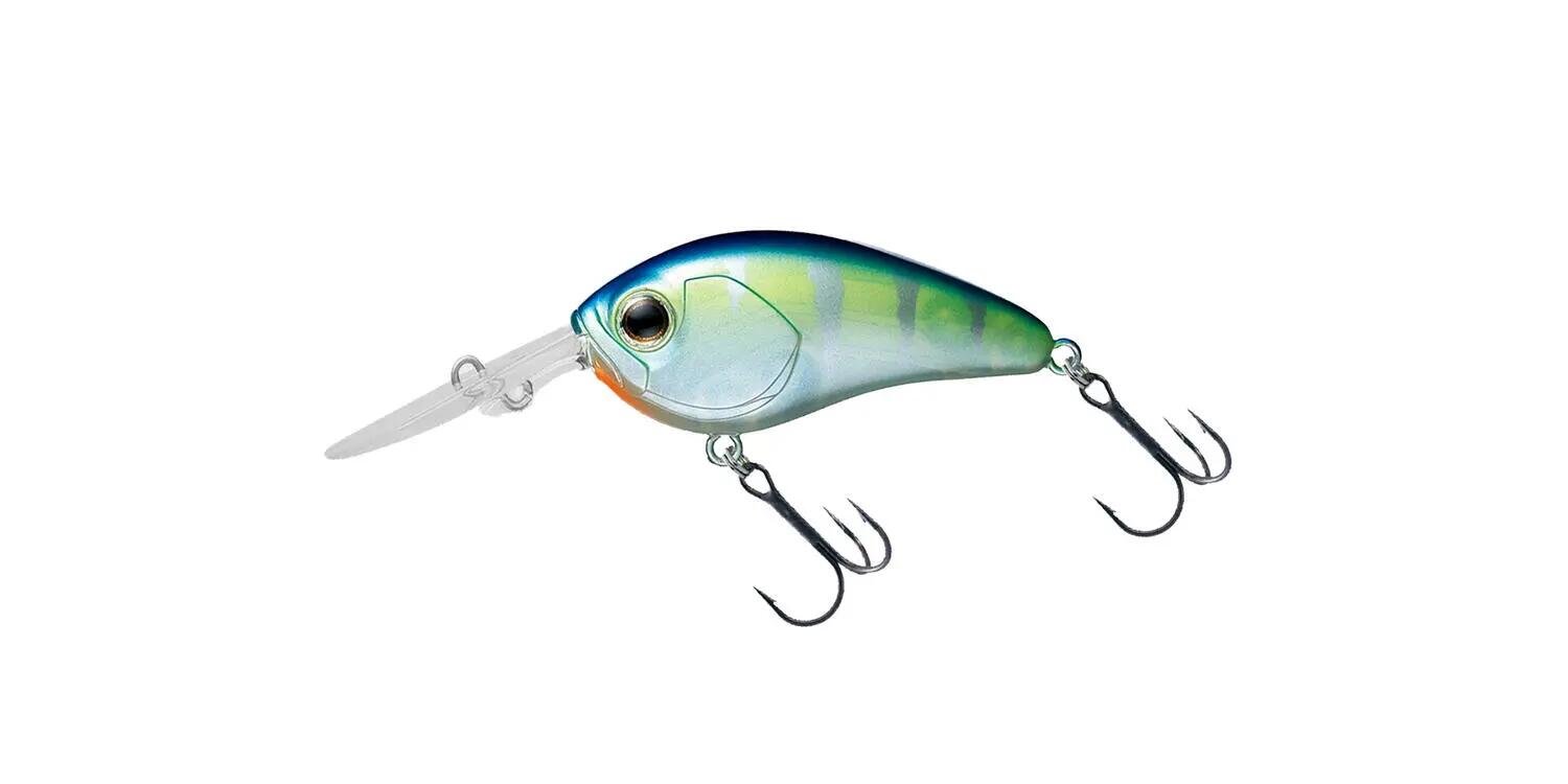 DAIWA picture
