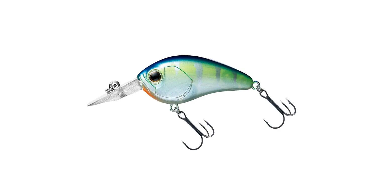DAIWA picture