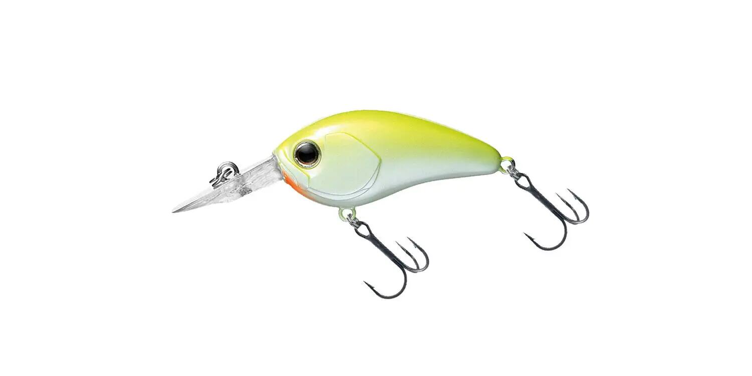 DAIWA picture