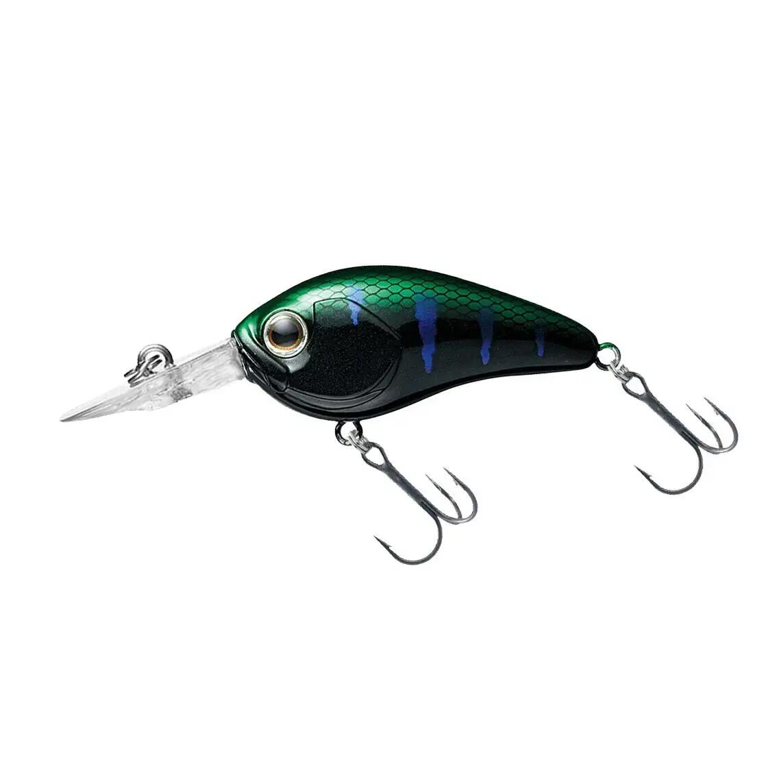 DAIWA picture