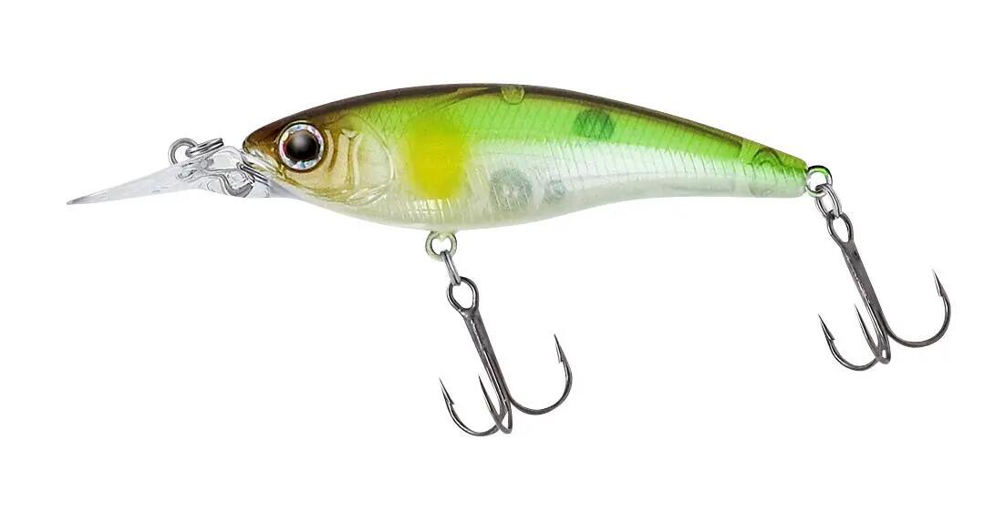 DAIWA picture
