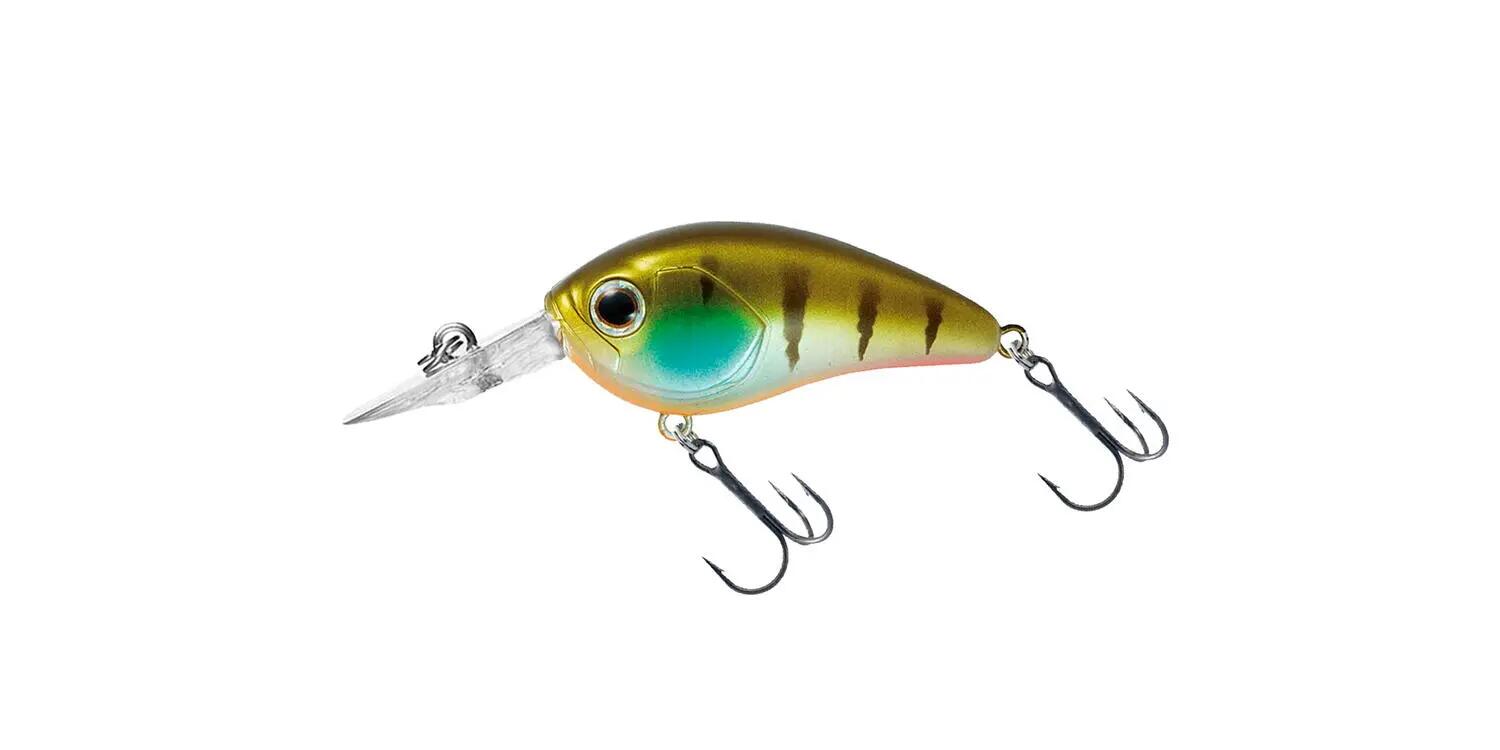 DAIWA picture
