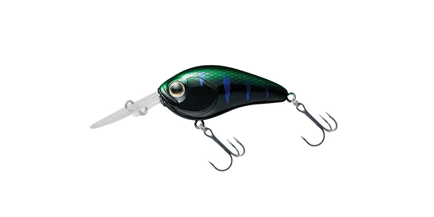 DAIWA picture
