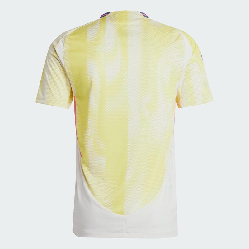Koszulka Juventus 24/25 Away Authentic