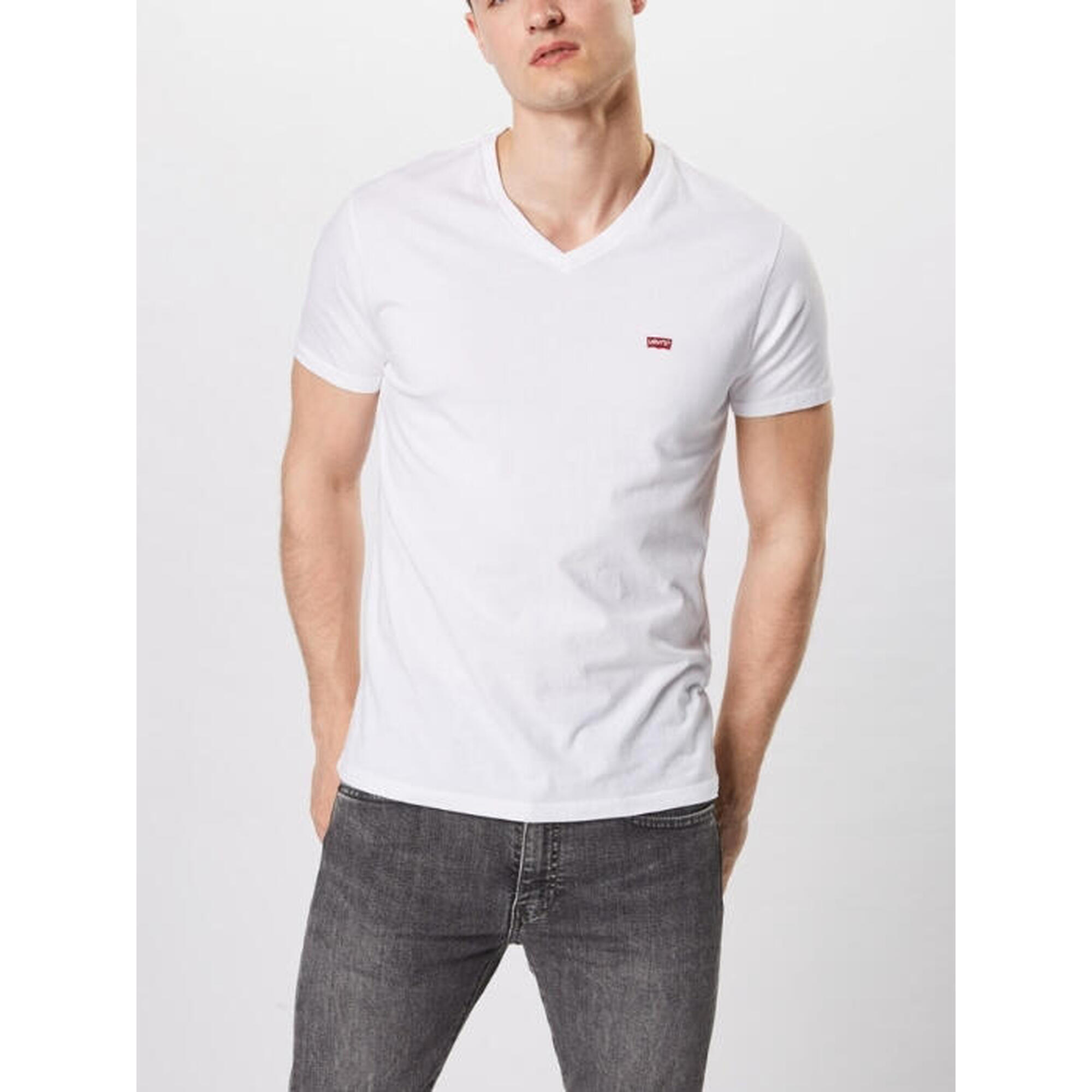 84de5bef-4e97-483f-ae3f-7d3a1f7034ca_c4c4c4