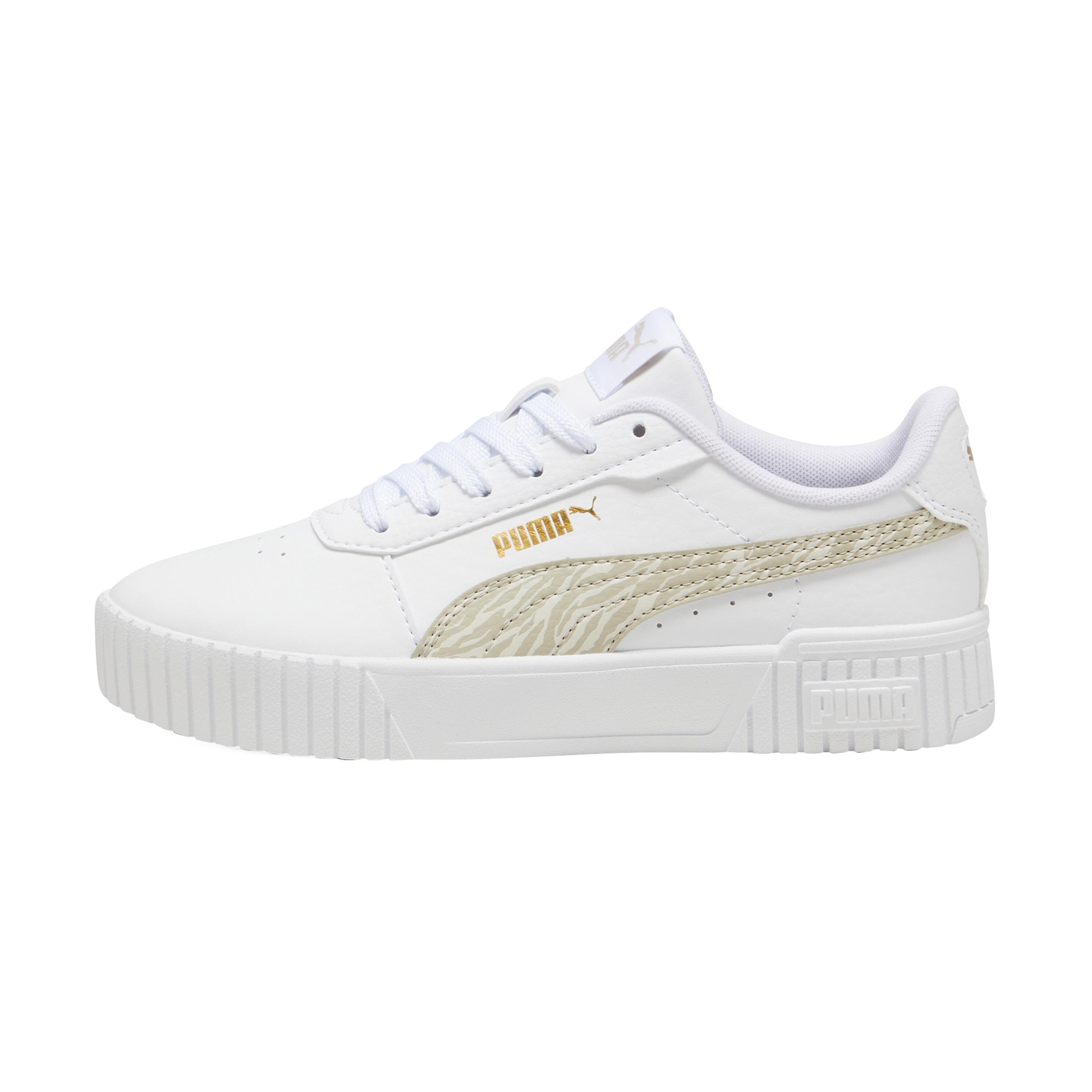PUMA picture