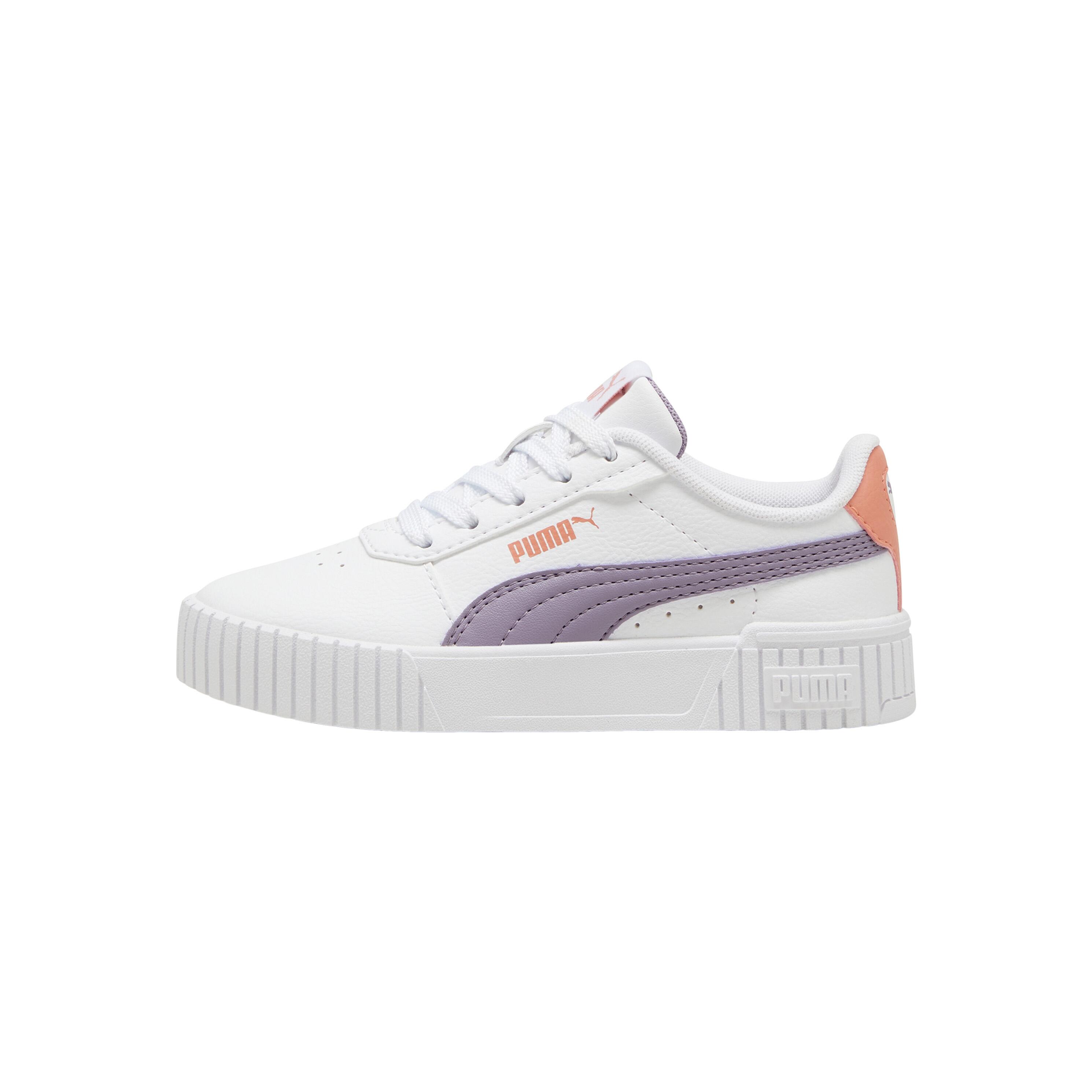 PUMA picture
