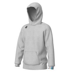 Sweatshirt à capuche Arena Team Panel