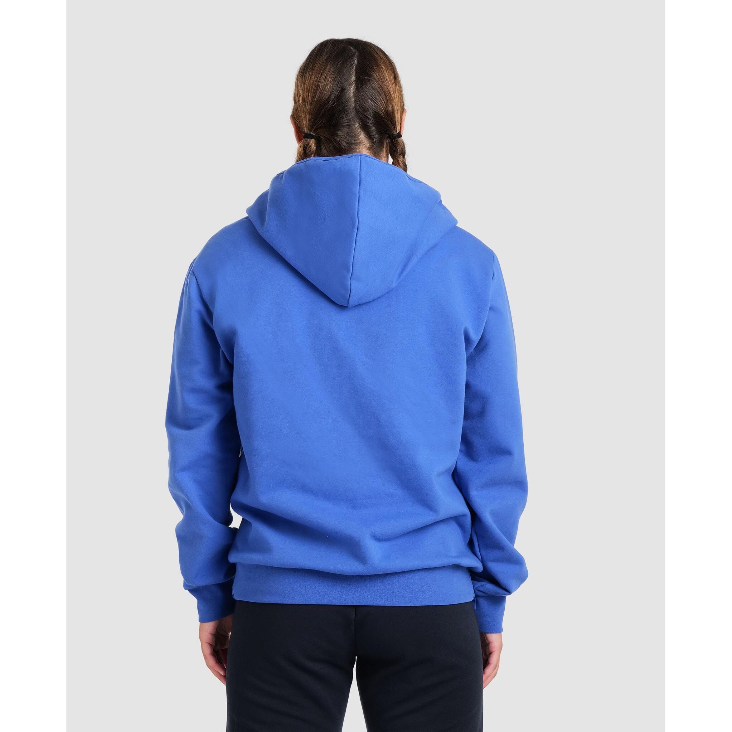 Sweatshirt à capuche Arena Team Panel 5/7