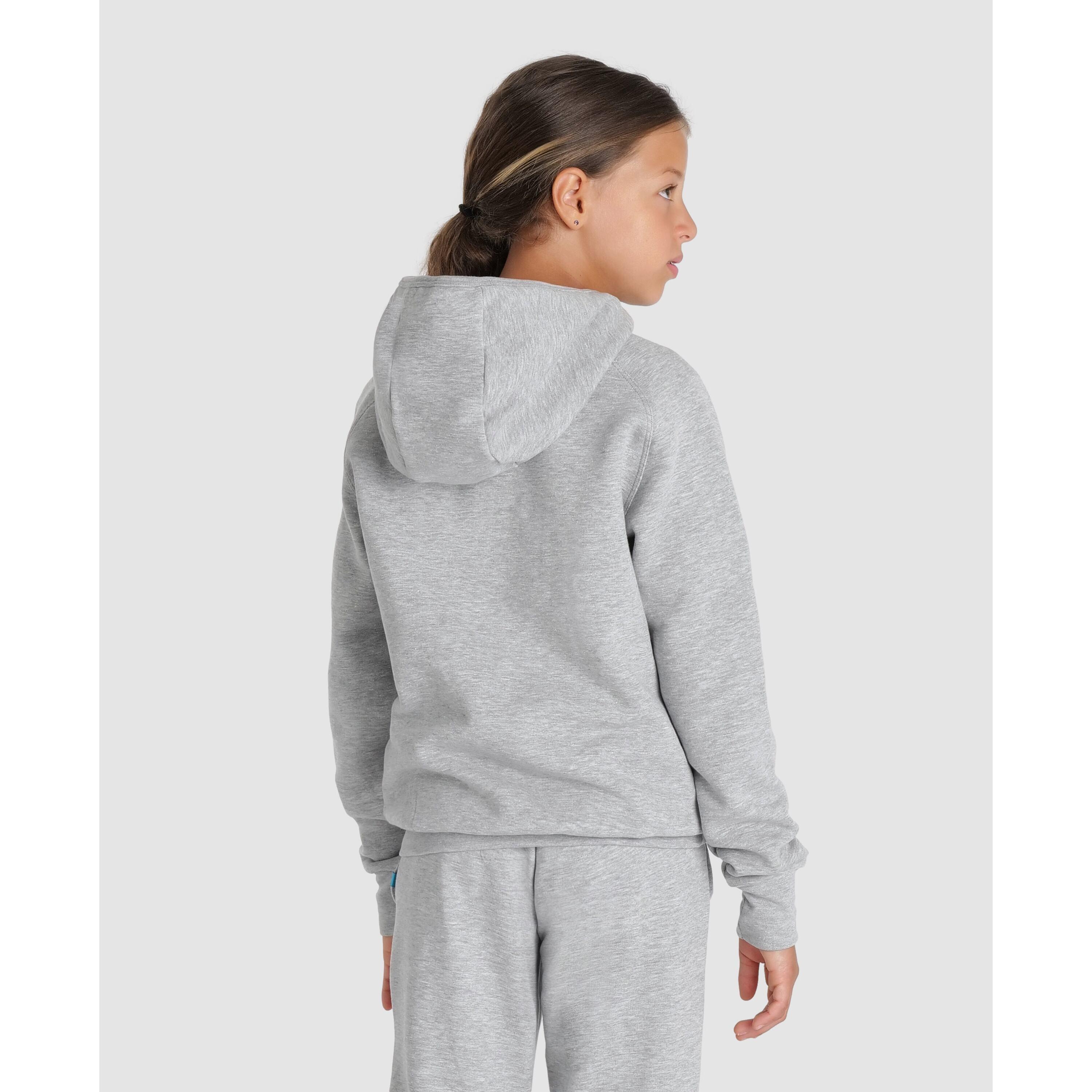 Sweatshirt à capuche enfant Arena Team Panel 5/7