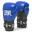 guantes de boxeo Ambassador LEONE