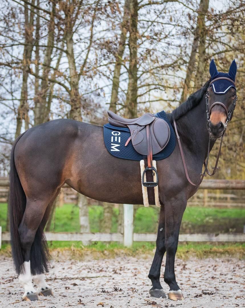 Tapis de selle DRESSAGE TEN Marine - GEM 2/5