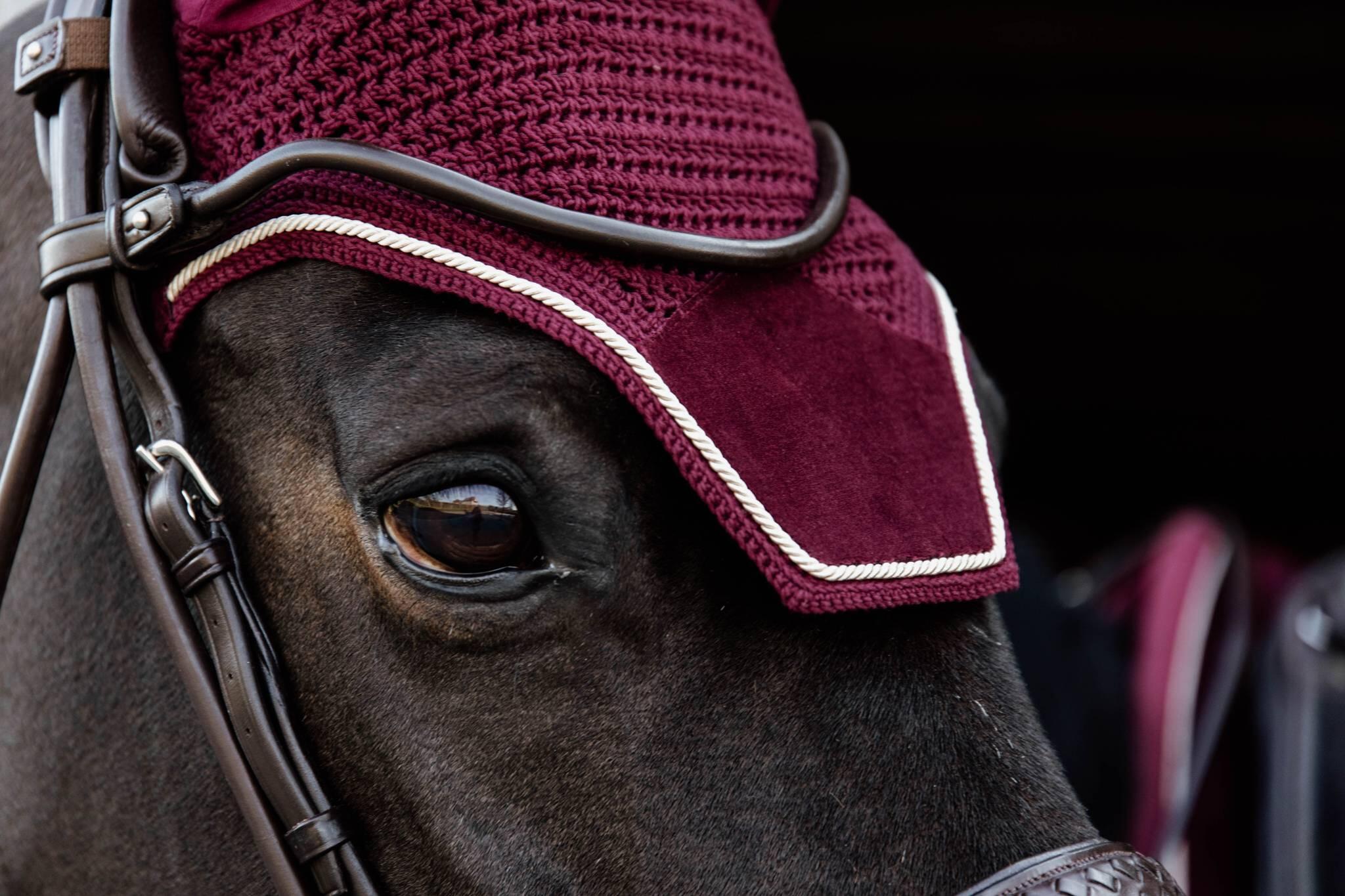 Kentucky Horsewear Bonnet Anti-Mouche Cheval Wellington Velvet - Protection Élégante
