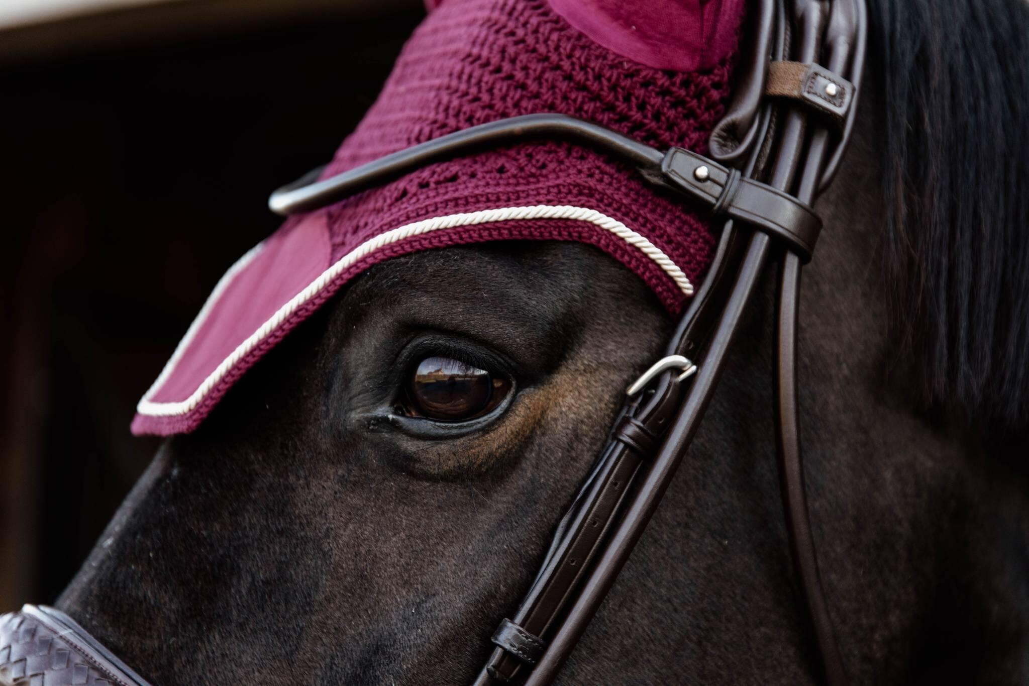 Fliegenhaube Wellington bordeaux 2/5