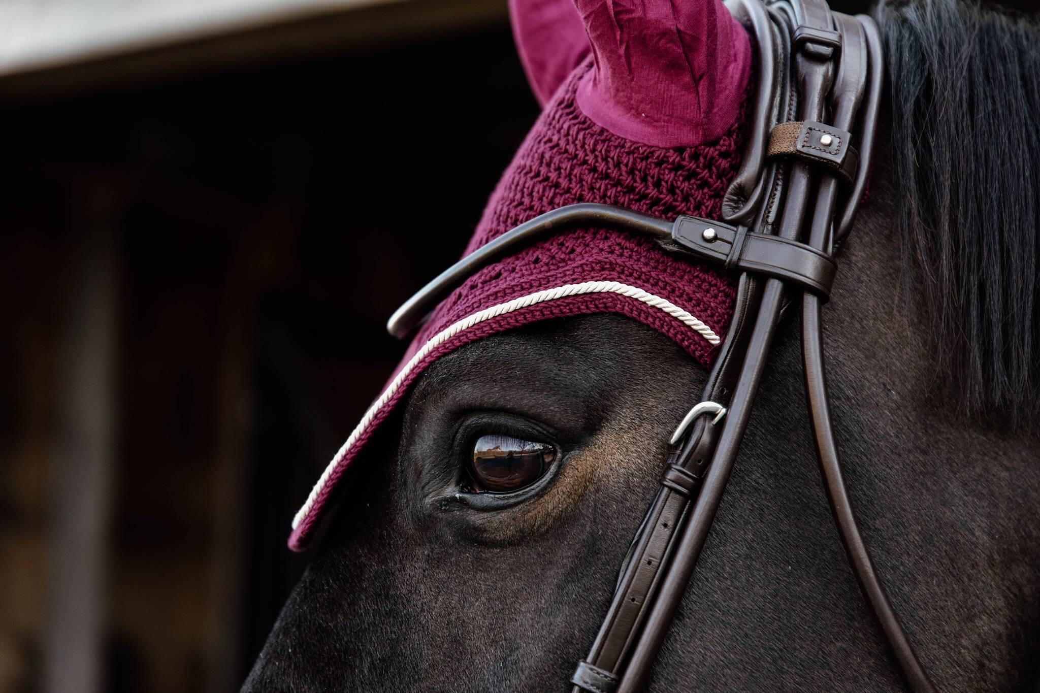 Bonnet anti-mouche Wellington velvet bordeaux 5/5