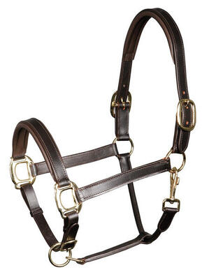 Gewatteerd lederen halster voor paarden harry's horse