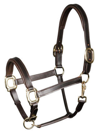 Licol pour cheval en cuir rembourré Harry's Horse