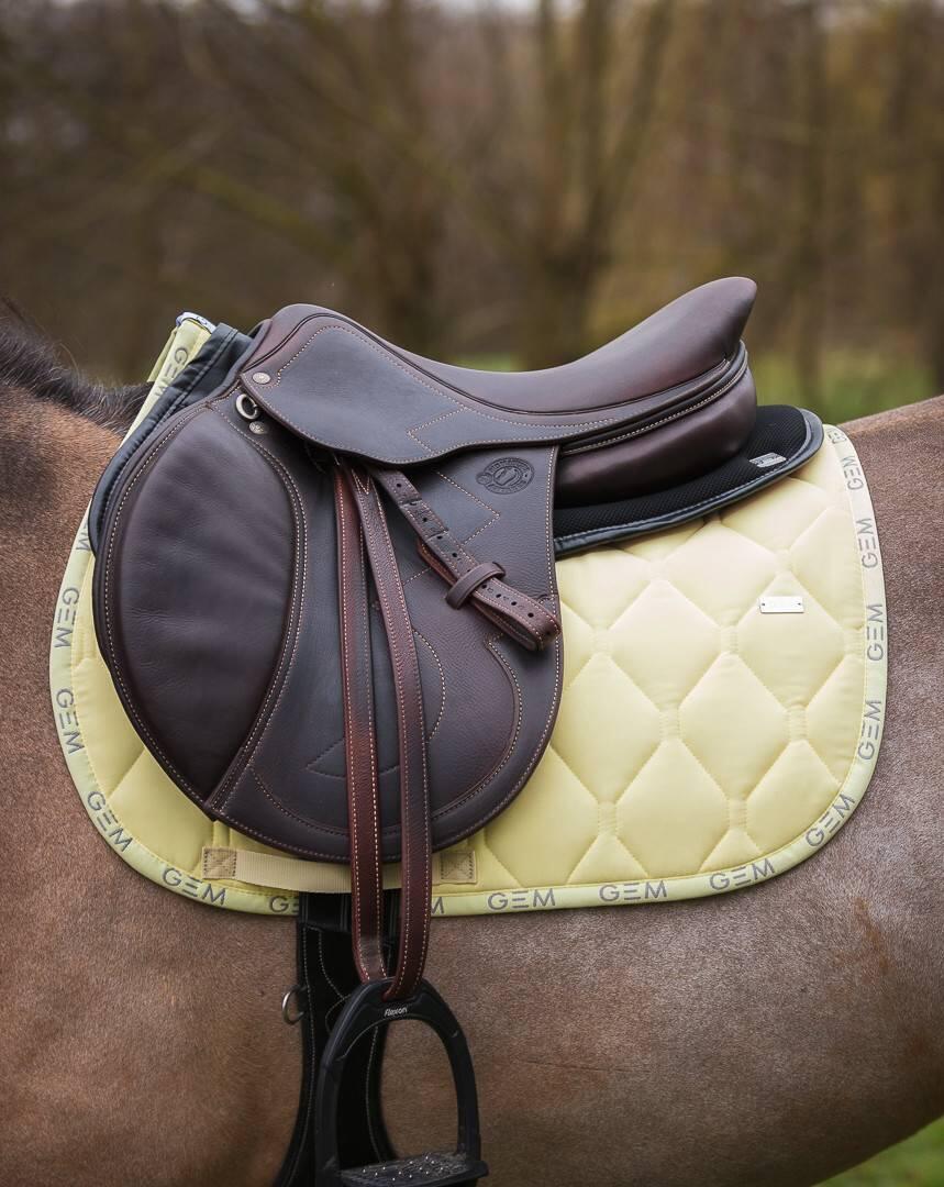 GEM EQUITATION picture