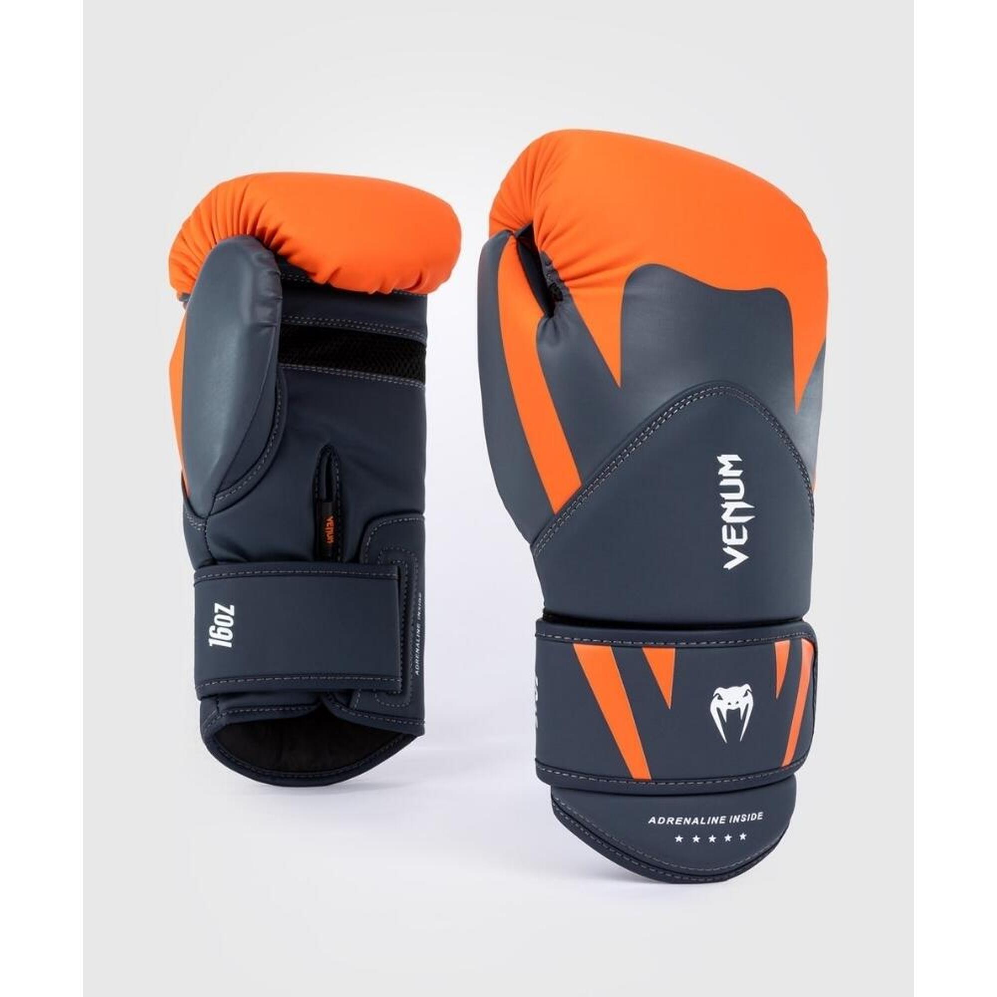 Challenger 4.0 Boxing Gloves