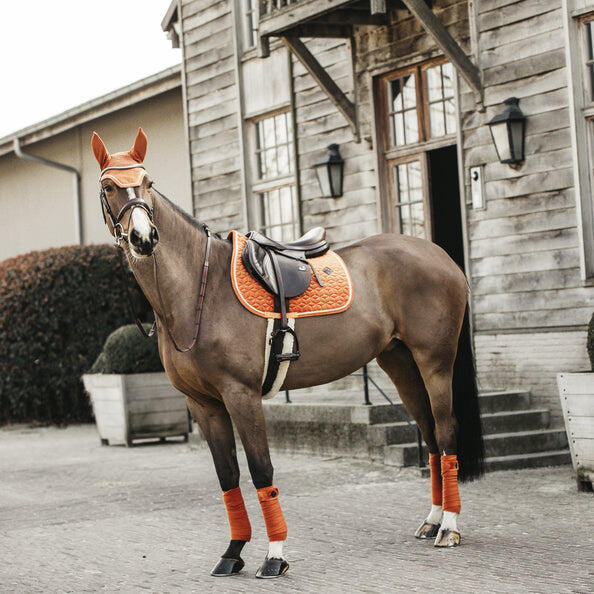 Satteldecke für Pferde Kentucky Velvet 2/5