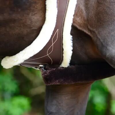 Anatomische singel voor schapenpaarden kentucky