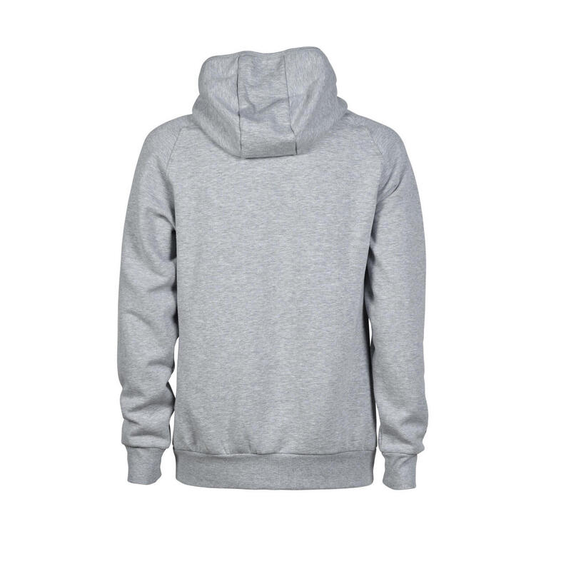 Hanorac sport Arena Hooded Sweat Logo