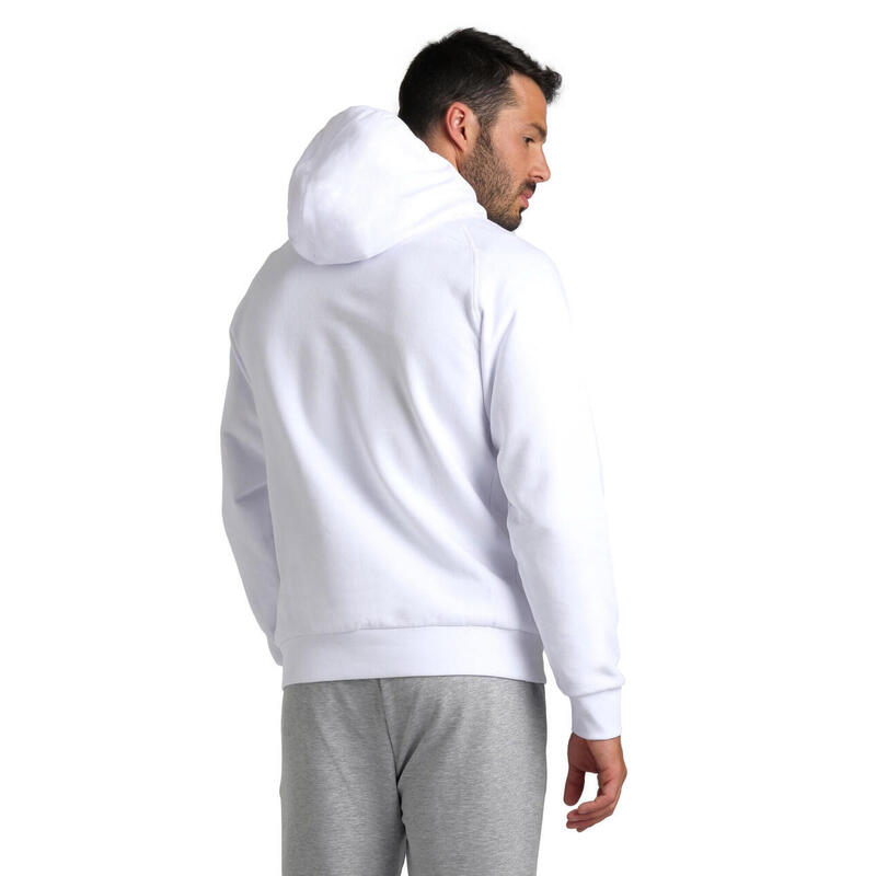 Hanorac sport Arena Team Hooded Sweat Panel