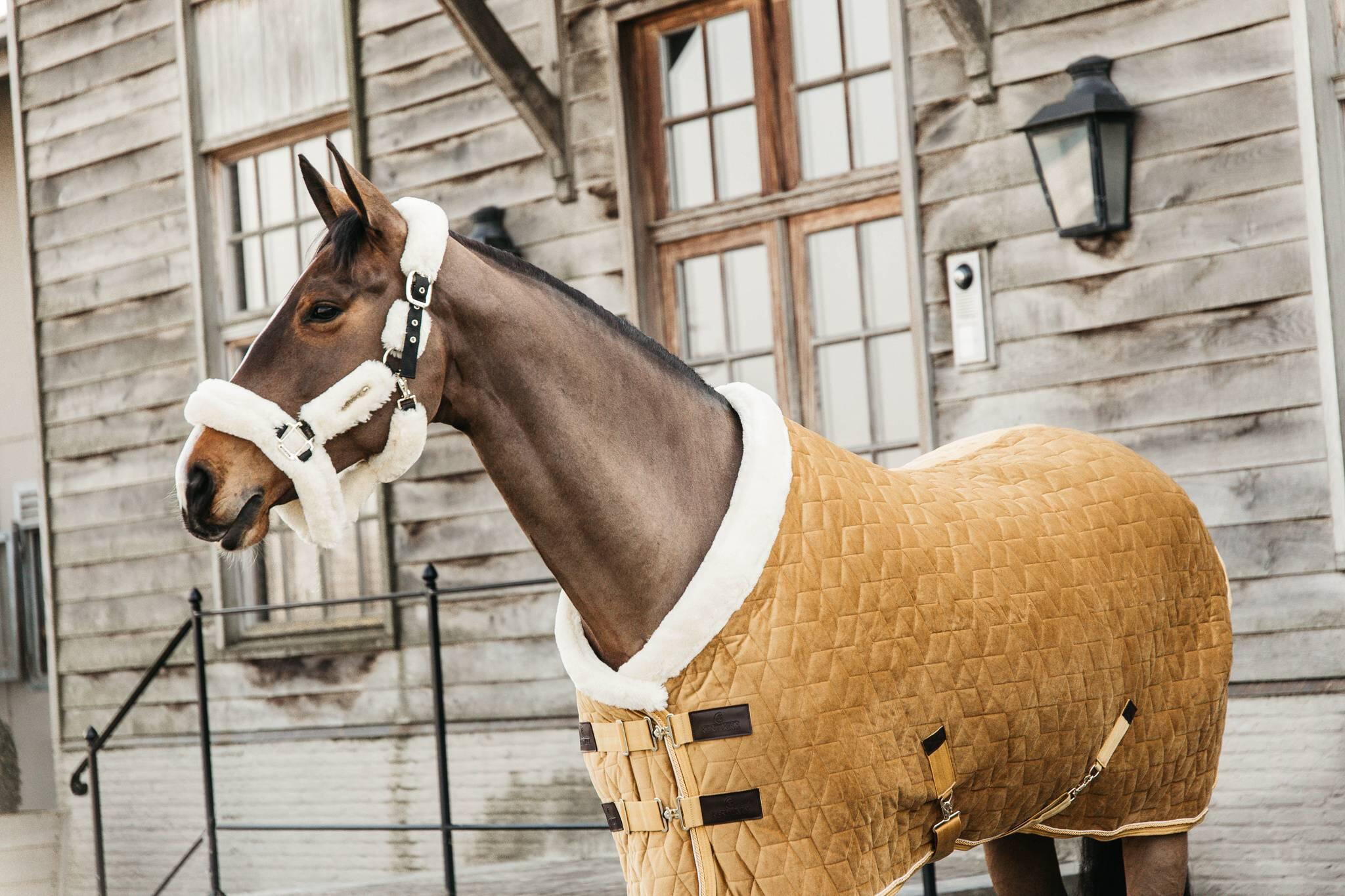KENTUCKY HORSEWEAR picture