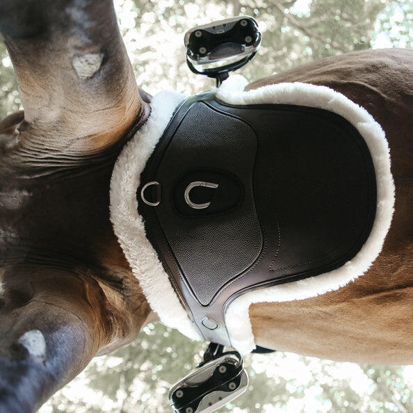 KENTUCKY HORSEWEAR Speciale singel voor schapen Kentucky